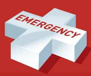 Emergency Planning and Business Continuity