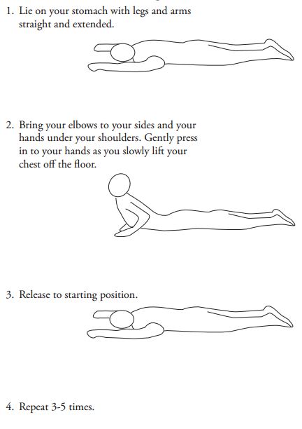 lower back stretch, stretching, back stretches