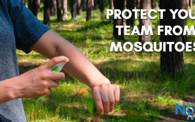 Protect Your Team from Mosquitoes