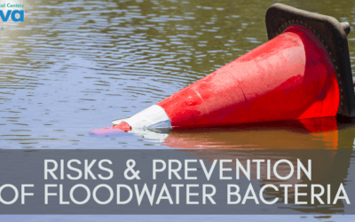 Risks & Prevention of Floodwater Bacteria