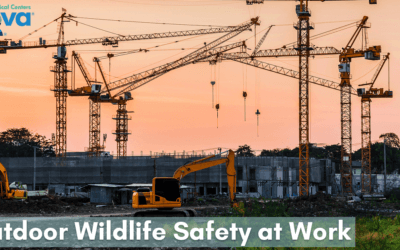 Outdoor Wildlife Safety at Work