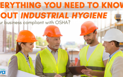 Everything You Need to Know About Industrial Hygiene