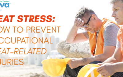 Heat Stress:  How to Prevent Occupational Heat-Related Injuries