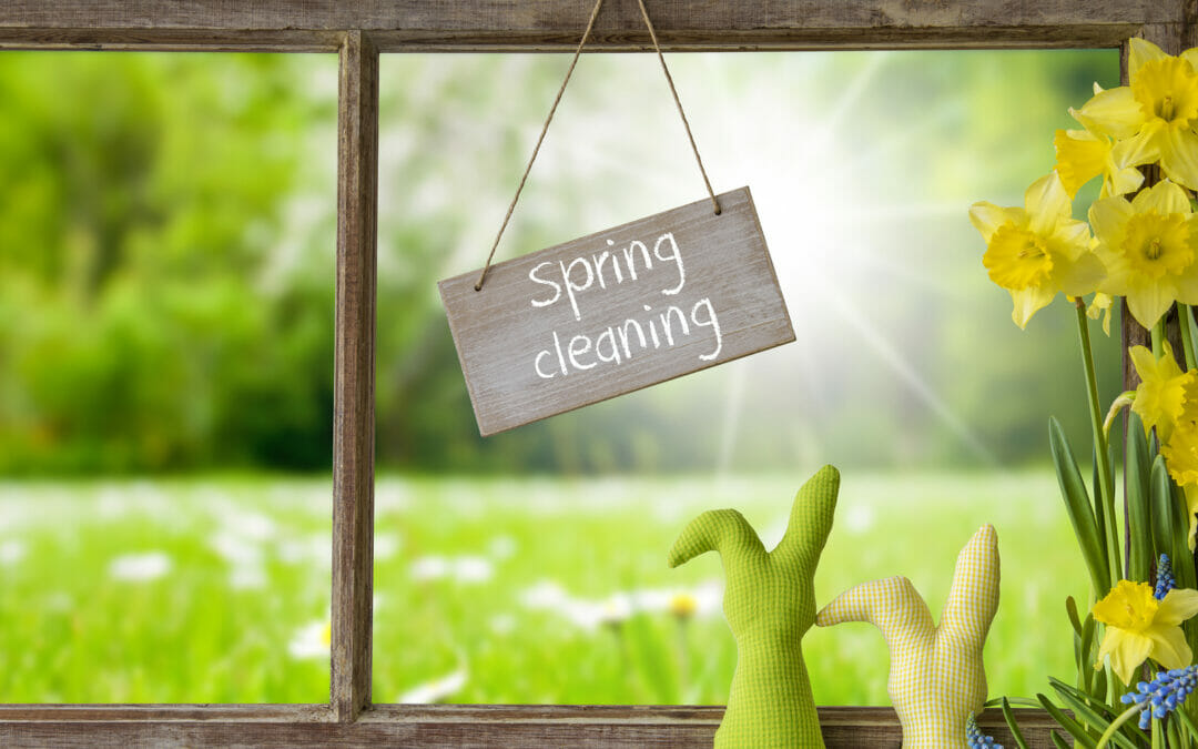 Spring Cleaning